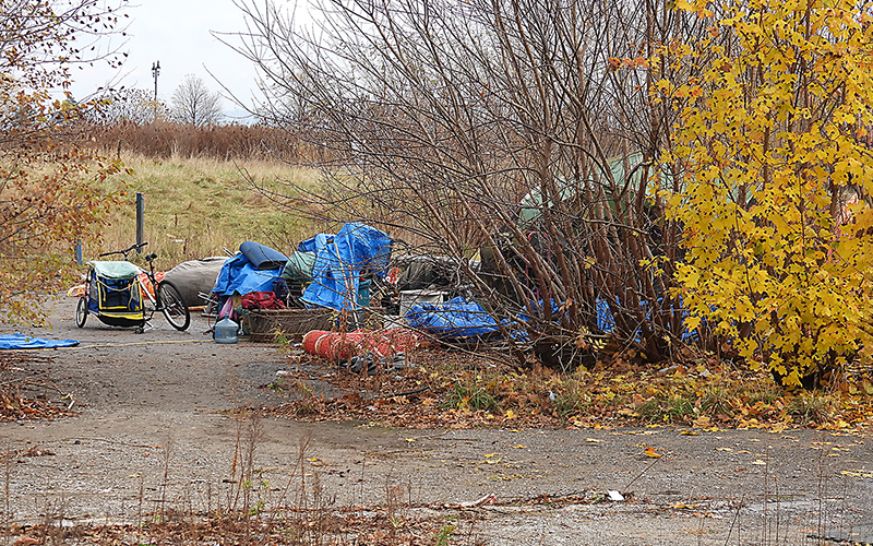 November 21, 2024 - Bradford St. abandoned lot.